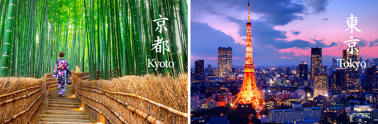 Culture Experience in Japan